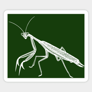 Praying Mantis Ink Art - cool detailed insect design Magnet